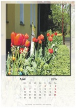 Baitzkalender-2015_04