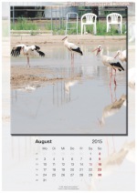 Baitzkalender-2015_08