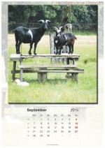 Baitzkalender-2015_09