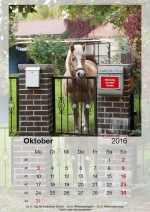 BaitzKalender_2016_10