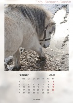 Baitzkalender2020_02