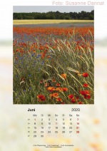 Baitzkalender2020_06