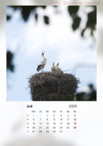Baitzkalender2020_07