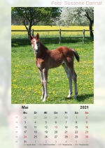 Baitz-Kalender-2021_05