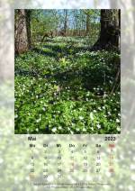 Baitz-Kalender-2023_05