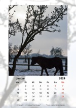 Baitz-Kalender-2024_01