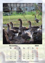 Baitz-Kalender-2024_11