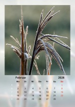 Baitz-Kalender_2026_02