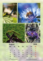 Baitz-Kalender_2026_08