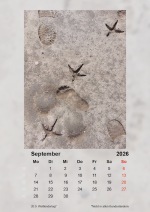 Baitz-Kalender_2026_09