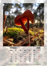 Baitz-Kalender_2026_10